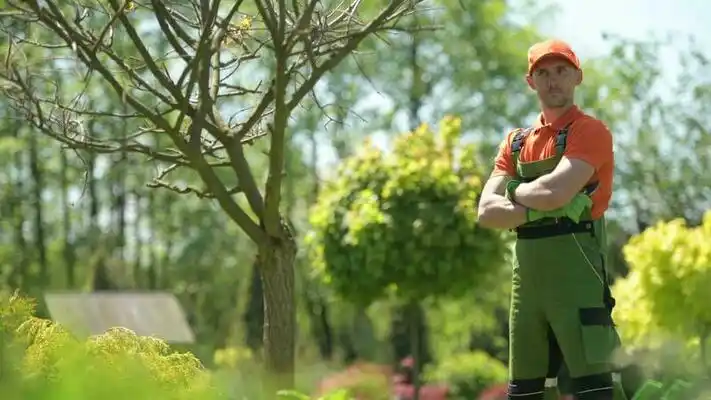 landscaping services Lewiston